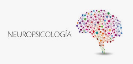 Diplomatura Superior en Neuropsicología Clínica | Cohorte 2023